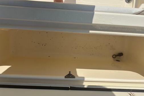 Scout 282-SPORTFISH image