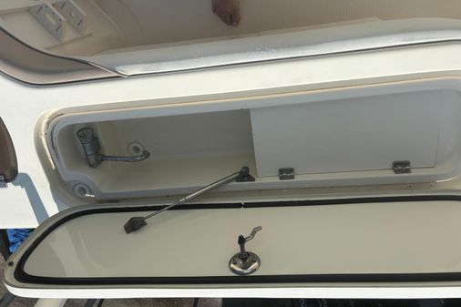 Scout 282-SPORTFISH image