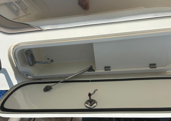 Scout 282-SPORTFISH image