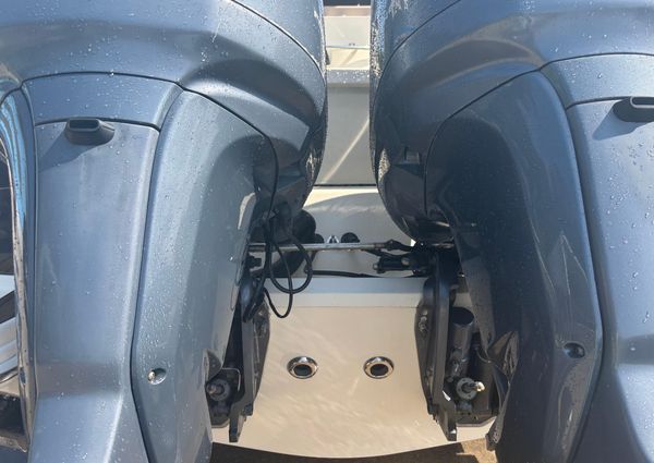 Scout 282-SPORTFISH image