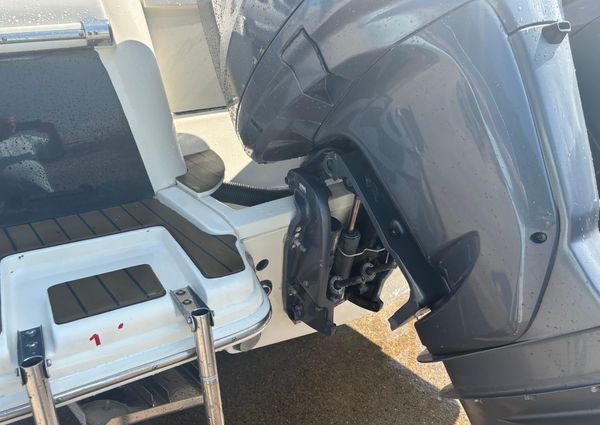 Scout 282-SPORTFISH image