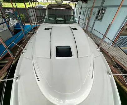 Sea Ray 360 Sundancer image