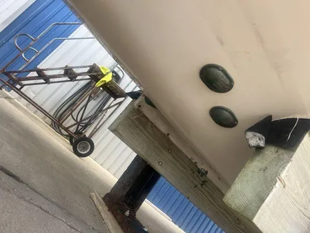 Grady-White Canyon 336 image