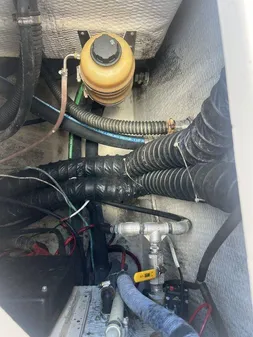 Grady-White Canyon 336 image