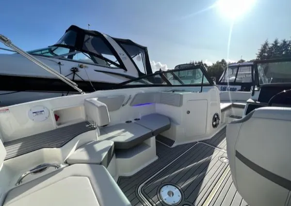 Sea-ray SPX-190 image