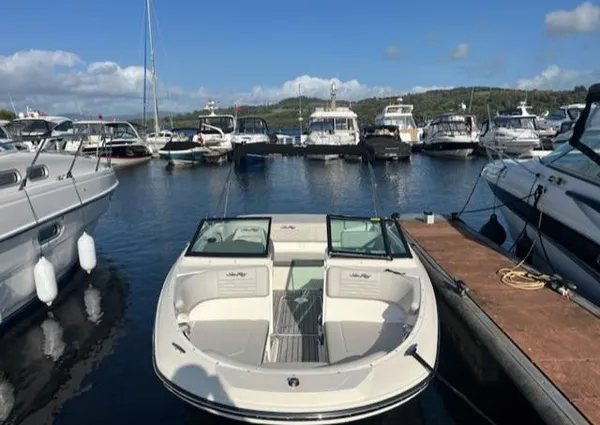 Sea-ray SPX-190 image