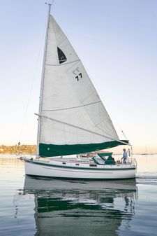 Nonsuch 33 image