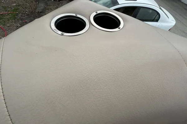 Sun-tracker PARTY-BARGE-18-DLX image