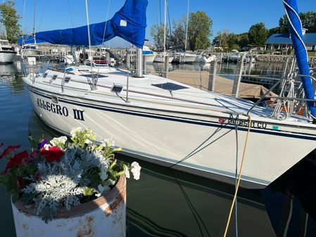 Hunter 33 image