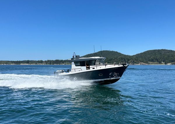 Sargo 31 image