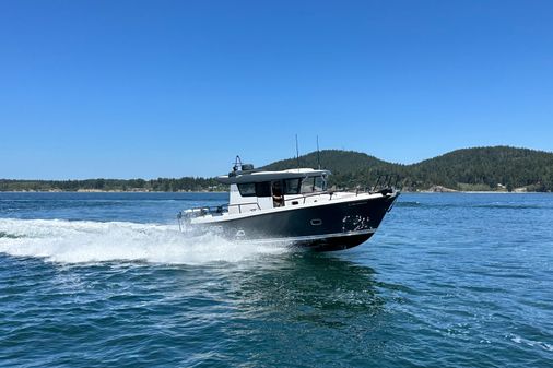 Sargo 31 image