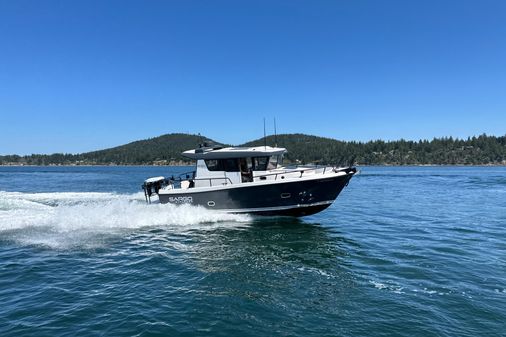 Sargo 31 image