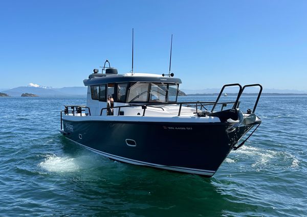 Sargo 31 image