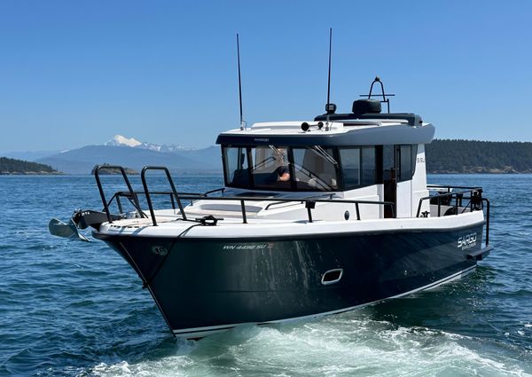 Sargo 31 image