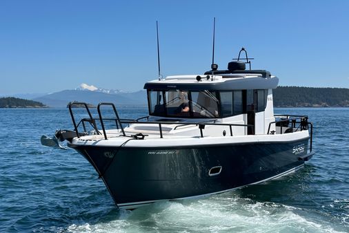 Sargo 31 image