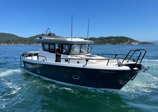 Sargo 31 image