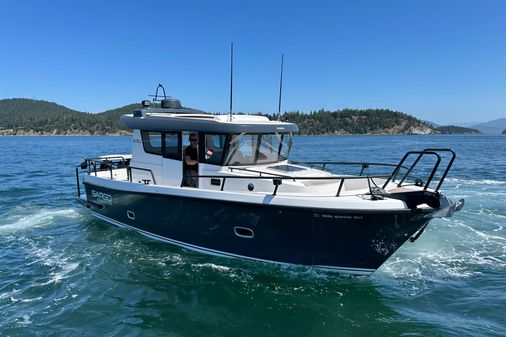 Sargo 31 image