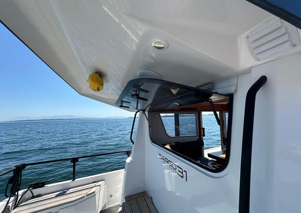 Sargo 31 image