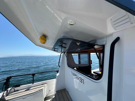 Sargo 31 image