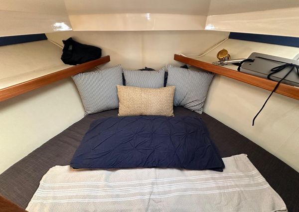 Riviera 33 Open Flybridge image