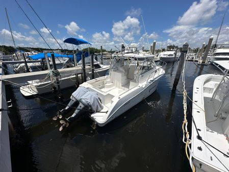 Seaswirl STRIPER-2901-WALKAROUND-O-B image