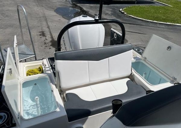 Robalo 246 Cayman image