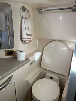 Sea Ray 370 Aft Cabin image