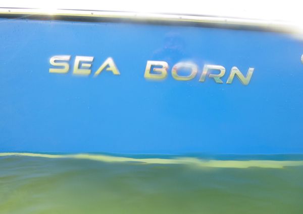 Sea-born LX24-TWINS- image