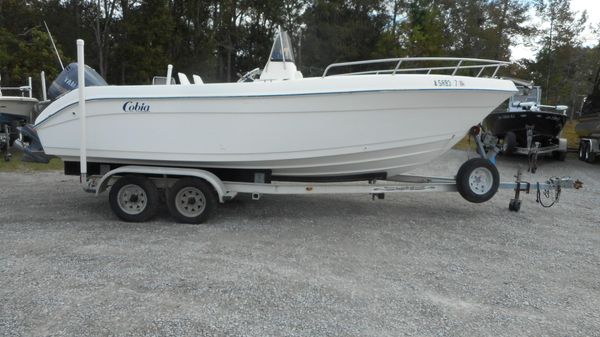 Cobia 204