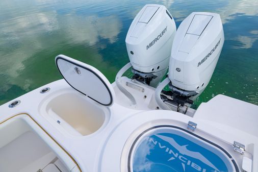 Invincible 46 Catamaran image