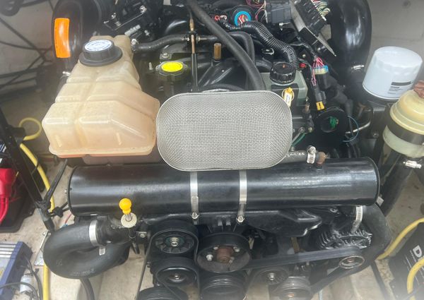 Chaparral Sunesta 254 image