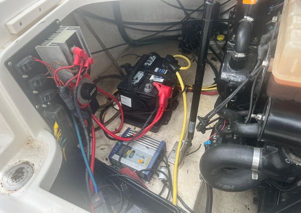 Chaparral Sunesta 254 image