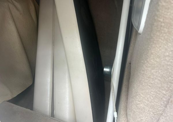 Chaparral Sunesta 254 image