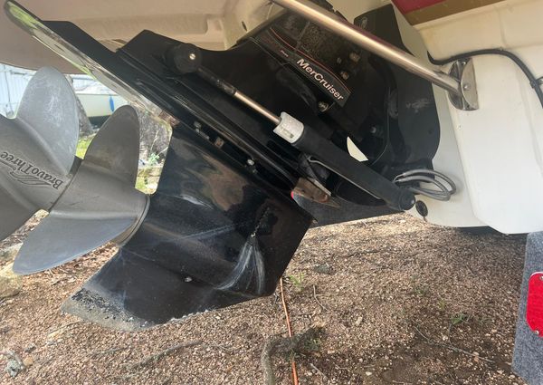 Chaparral Sunesta 254 image