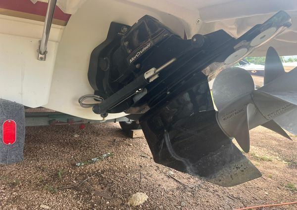 Chaparral Sunesta 254 image