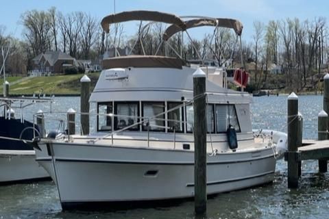 Camano 31