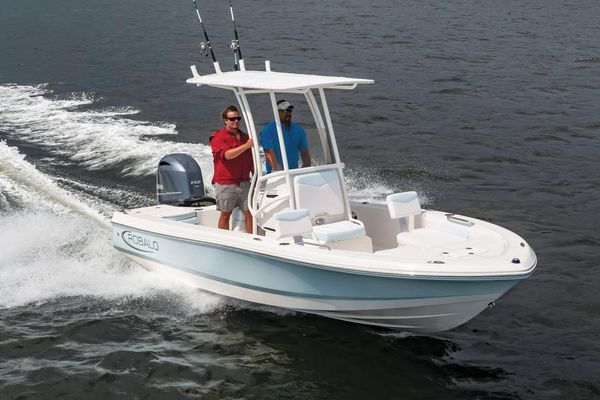 Robalo 206-CAYMAN - main image