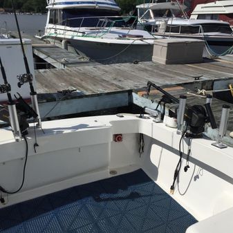 Luhrs 28 Open image