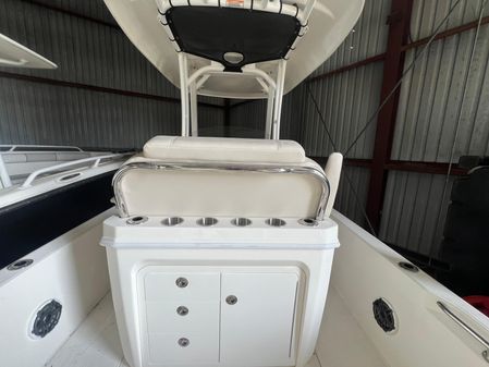 Boston-whaler 250-DAUNTLESS image