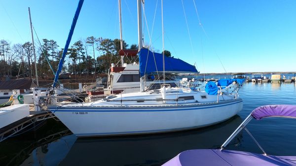Hunter 31 