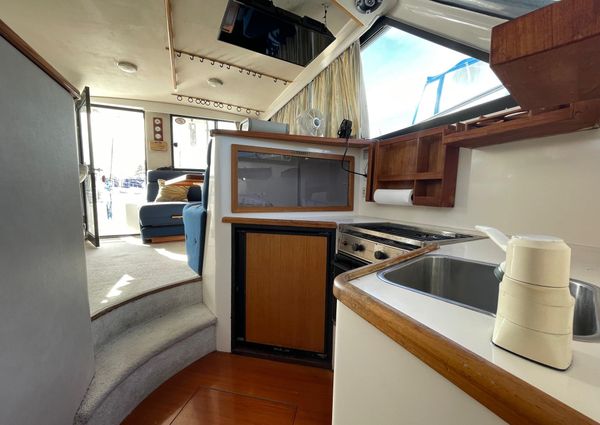 Riviera 33-FLYBRIDGE image