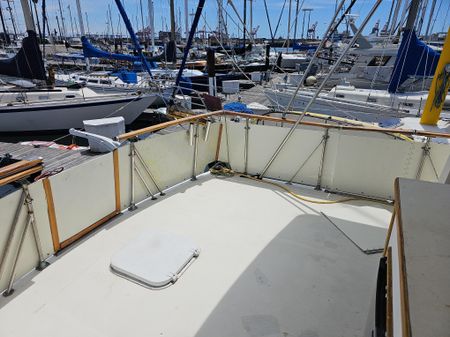 Bertram Salon Cruiser image