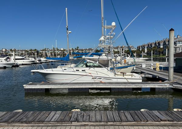 Rampage 38-EXPRESS image