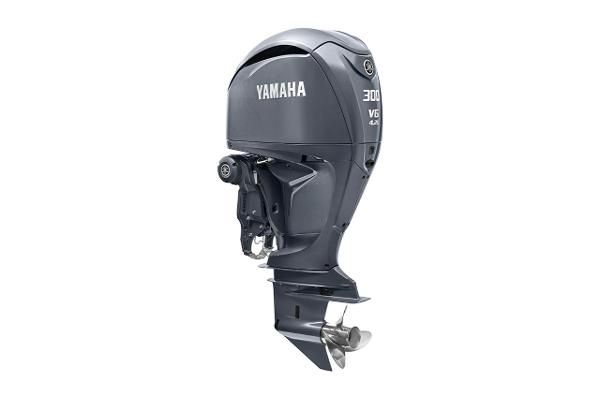 Yamaha F300XSB - main image