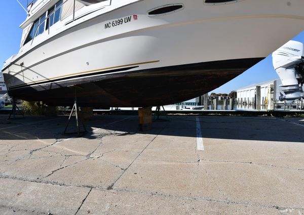 Sea-ray 340-SEDAN-BRIDGE image