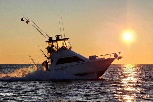 Cabo 35 Flybridge image