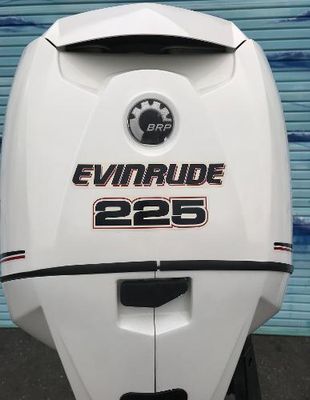 Evinrude E225DPXIID - main image