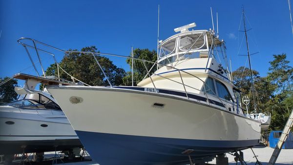 Bertram 35