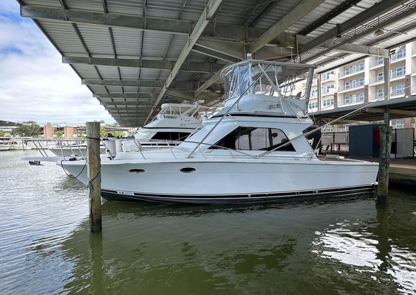 Blackfin 38-CONVERTIBLE image