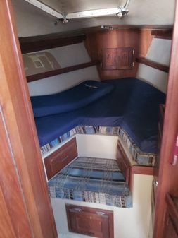Catalina 38 image